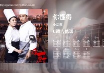 你懂得吉他谱,小沈阳歌曲,C调高清图,5张六线原版简谱