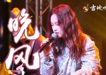 晚风吉他谱,陈婧霏歌曲,G调简单指弹教学简谱,无限延音六线谱图片