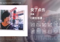 受了点伤吉他谱,阿桑歌曲,C调高清图,4张六线原版简谱