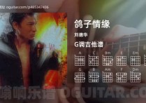 鸽子情缘吉他谱,刘德华歌曲,G调高清图,4张六线原版简谱