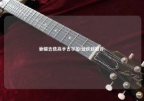 新疆吉他高手吉尔拉(受欢迎推荐)