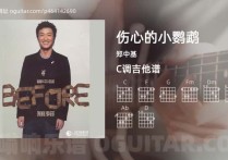 伤心的小鹦鹉吉他谱,郑中基歌曲,C调高清图,4张六线原版简谱