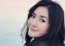 菠萝菠萝蜜吉他谱,原版谢娜歌曲,简单G调弹唱教学,阿潘音乐工场版六线指弹简谱图