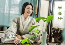 半壶纱吉他谱,刘珂矣歌曲,C调简单指弹教学简谱,吴先生六线谱图片