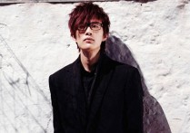 雅俗共赏吉他谱,原版许嵩歌曲,简单C调弹唱教学,西二吉他版六线指弹简谱图