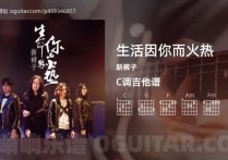 生活因你而火热吉他谱,新裤子歌曲,C调高清图,7张六线原版简谱