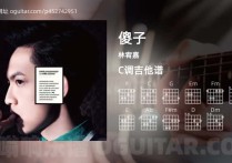 傻子吉他谱,林宥嘉歌曲,C调高清图,3张六线原版简谱