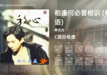 相逢何必曾相识 (粤语)吉他谱,蒋志光歌曲,C调高清图,4张六线原版简谱