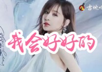 我会好好的吉他谱,王心凌歌曲,C调简单指弹教学简谱,岛屿吉他六线谱图片