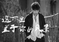 这一生关于你的风景吉他谱,原版隔壁老樊歌曲,简单C调指弹视频教学,附高清六线乐谱