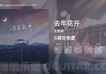去年花开吉他谱,王忻辰歌曲,G调高清图,4张六线原版简谱