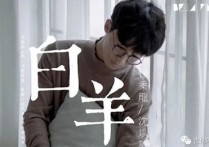 白羊吉他谱,原版徐秉龙歌曲,简单C调指弹视频教学,附高清六线乐谱