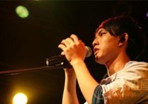 想自由吉他谱,原版林宥嘉歌曲,简单G调指弹曲谱,高清六线乐谱