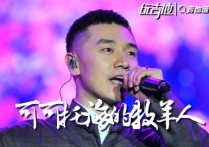 可可托海的牧羊人吉他谱,原版王琪歌曲,简单G调指弹视频教学,附高清六线乐谱