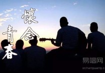 怀念青春吉他谱,高进歌曲,简单指弹教学简谱,高音教六线谱图片