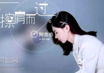 一生与你擦肩而过（C,感谢阿悠悠G调弹唱伴奏谱谱教学简谱,杨李鑫六线谱原版六线谱图片