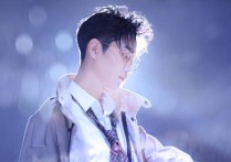 无羁吉他谱,原版肖战歌曲,简单G调弹唱教学,唯音悦版六线指弹简谱图