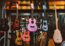 ,入门D调高清版,吉他吧编配,Ngau Hung版