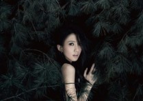 窗外吉他谱,戴佩妮歌曲,G调指弹简谱,新手弹唱高清版