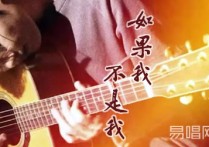 如果我不是我吉他谱,原调教学简谱,李宇春弹唱六线谱六线六线谱图片
