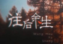 往后余生吉他谱,原版马良歌曲,简单D调指弹曲谱,高清六线乐谱视频教学