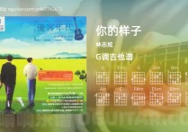 你的样子吉他谱,林志炫歌曲,G调指弹简谱,4张教学六线谱