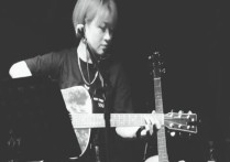 公子向北走吉他谱,李春花歌曲,G调指弹简谱,新手弹唱简单版