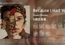 Because I Had You吉他谱,Shawn Mendes歌曲,G调高清图,4张六线原版简谱