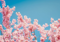 飞机划过的痕迹吉他谱,原版张闯歌曲,简单G调弹唱教学,夏祯阳版六线指弹简谱图