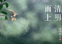 《清明雨上》吉他谱,原版许嵩歌曲,简单C调指弹曲谱,高清六线乐谱
