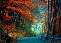 四季歌吉他谱,原版佚名歌曲,简单指弹曲谱,高清六线乐谱