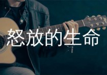 怒放的生命吉他谱,汪峰歌曲,C调简单指弹教学简谱,无限延音版六线谱图片