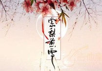 棠梨煎雪吉他谱,原版银临歌曲,简单C调指弹曲谱,高清六线乐谱