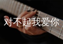 对不起我爱你吉他谱,1983组合歌曲,C调简单指弹教学简谱,7T吉他教室版六线谱图片