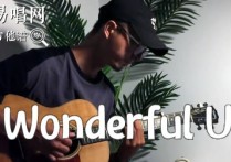 Wonderful,AGA歌曲,简单指弹教学简谱,安仔弹吉他六线谱图片