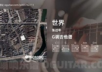 世界吉他谱,张过年歌曲,G调高清图,5张六线原版简谱