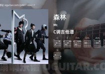 森林吉他谱,Mr.歌曲,C调高清图,5张六线原版简谱