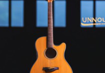 国产十大吉他品牌超值推荐