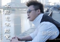 不能忘不能爱吉他谱,阿郎歌曲,C调简单指弹教学简谱,深蓝雨吉他六线谱图片