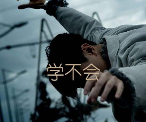 学不会吉他谱,原版歌曲,简单G调弹唱教学,六线谱指弹简谱2张图 - 极网吉它谱大全